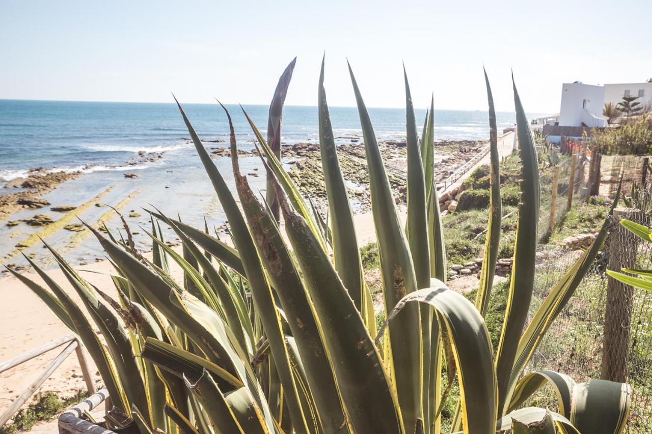 Magnífico duplex renovado con piscina garaje y jardín, frente a la playa de los Caños de Meca. Los Canos De Meca Exterior foto