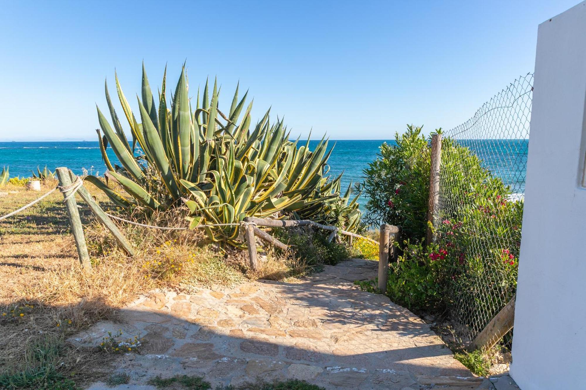 Magnífico duplex renovado con piscina garaje y jardín, frente a la playa de los Caños de Meca. Los Canos De Meca Exterior foto